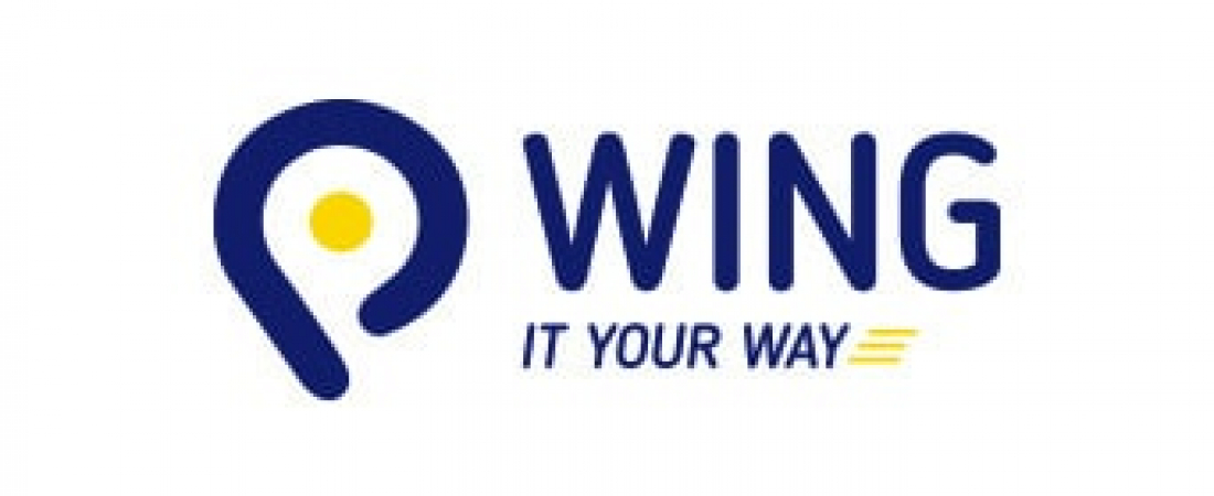 61_wing